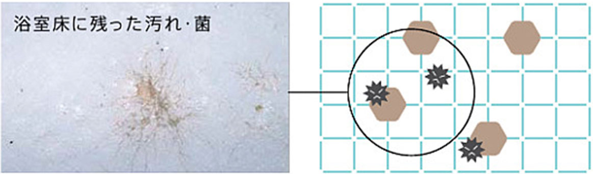 気になるカビやピンク汚れの原因は「菌」
